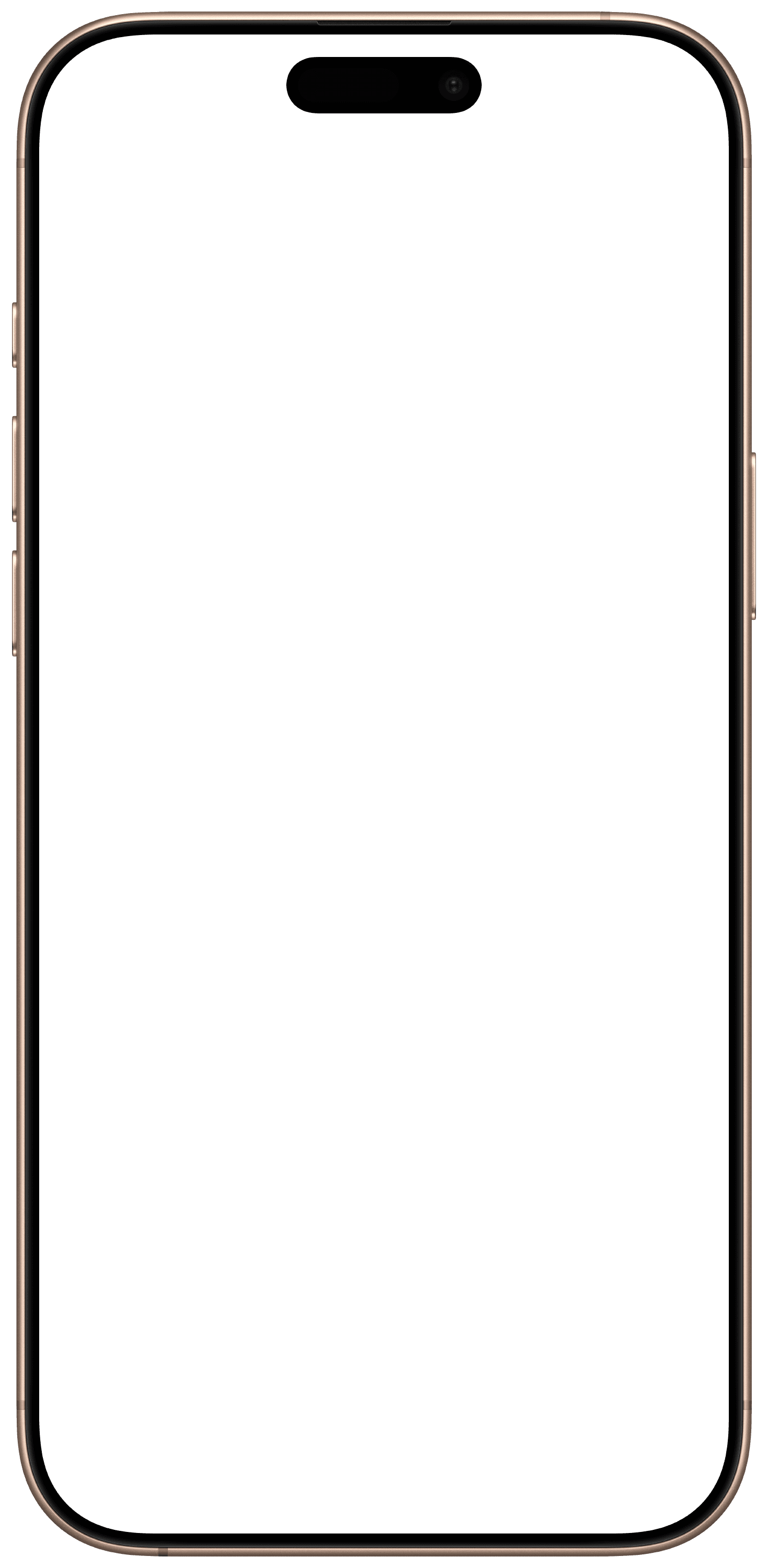 iPhone 16 Pro Max Frame